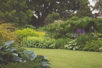 garden maintenance dubai